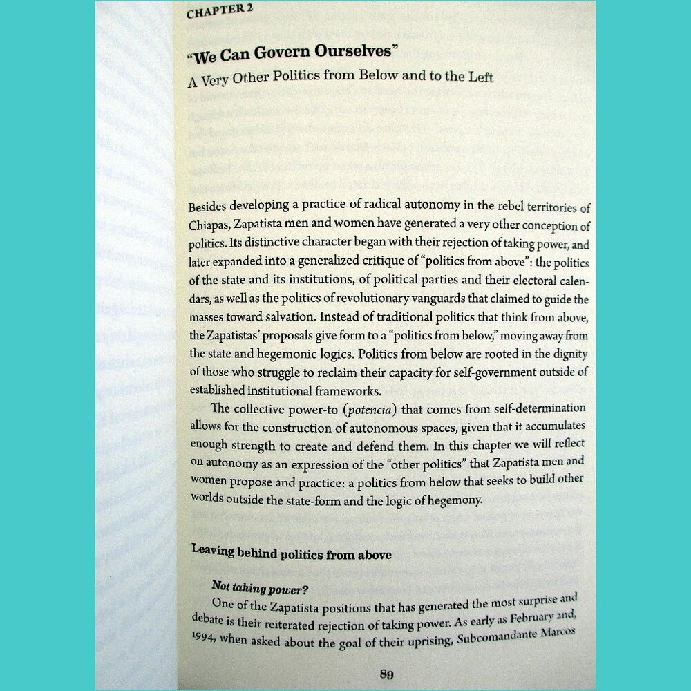 Book -  The Zapatista Experience: Rebellion, Resistance, and Autonomy - Picture 8 of 13